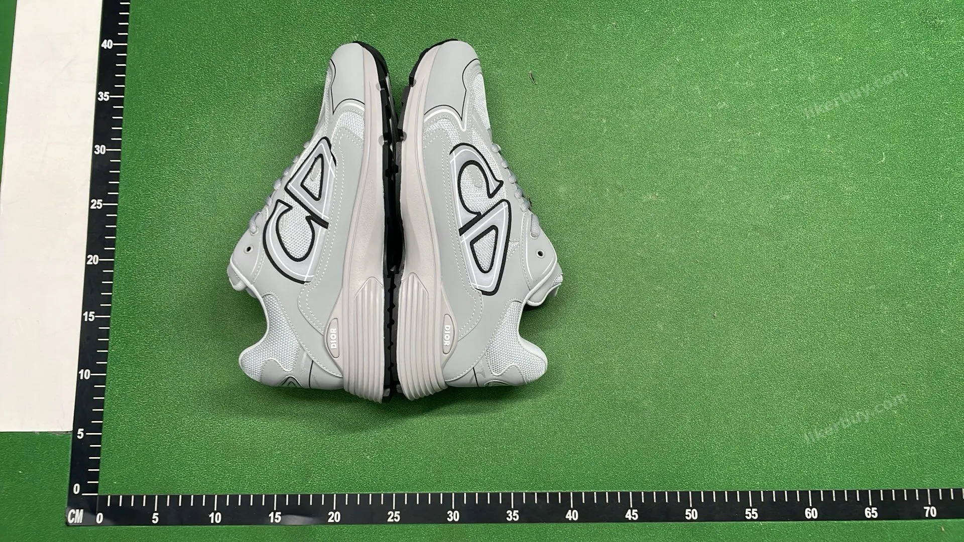 Dior B30 Shoes product reference 2