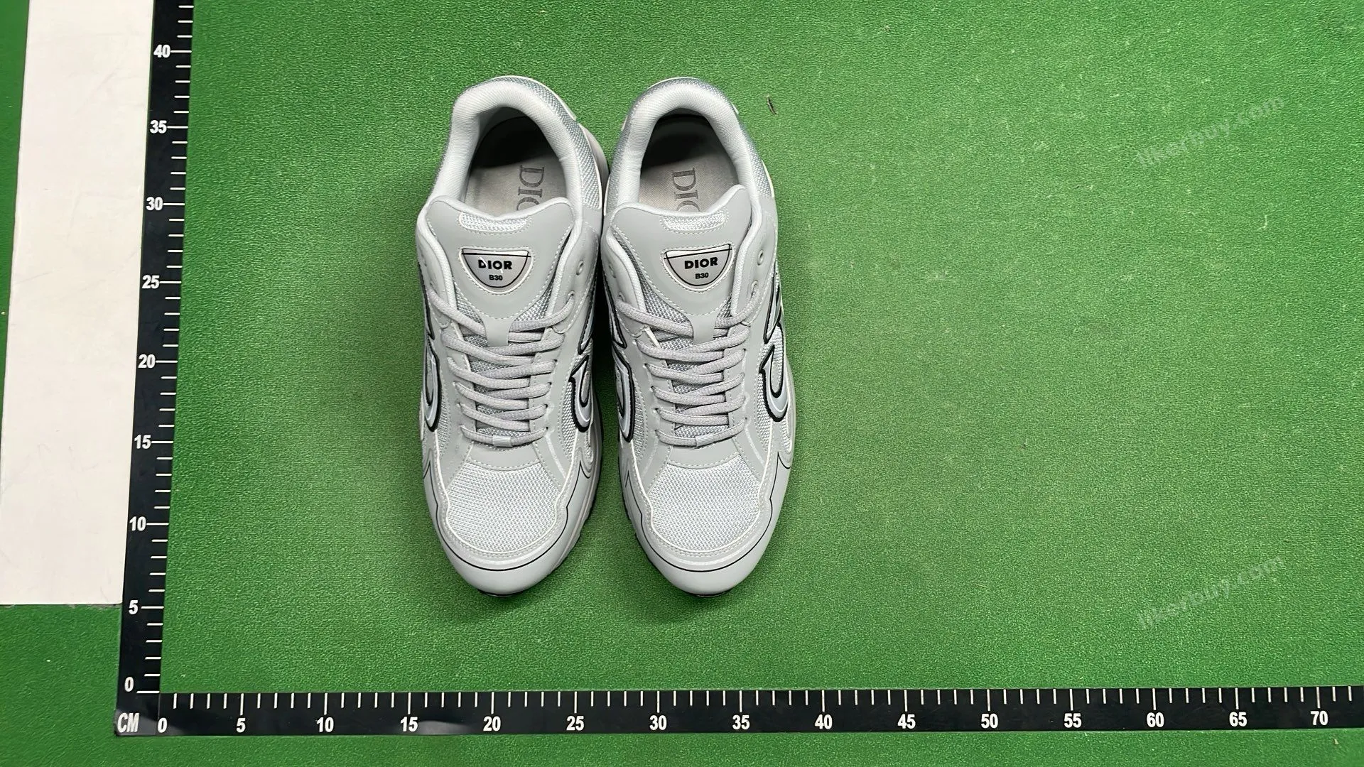 Dior B30 Shoes product reference 1