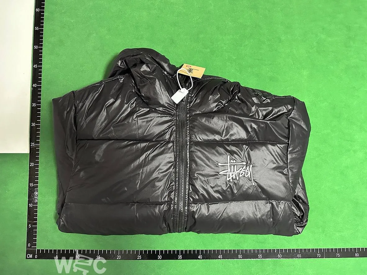 Dior down jacket QC photo