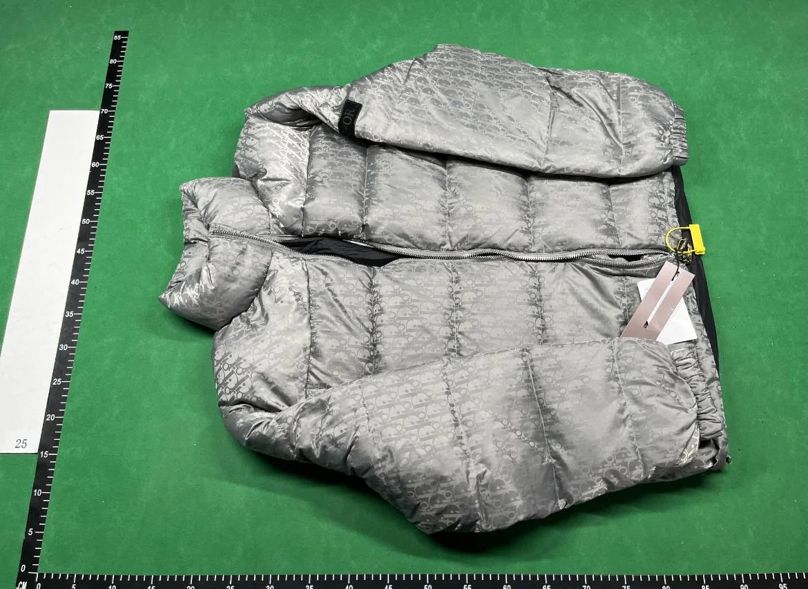 Dior down jacket QC photo