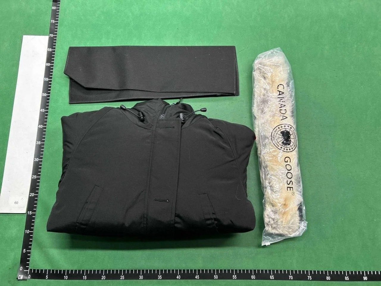 Canada goose jacket QC photo