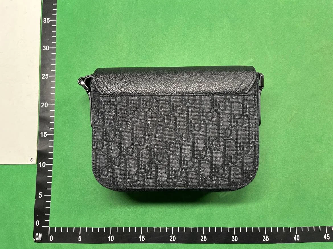 Dior camera bag QC photo