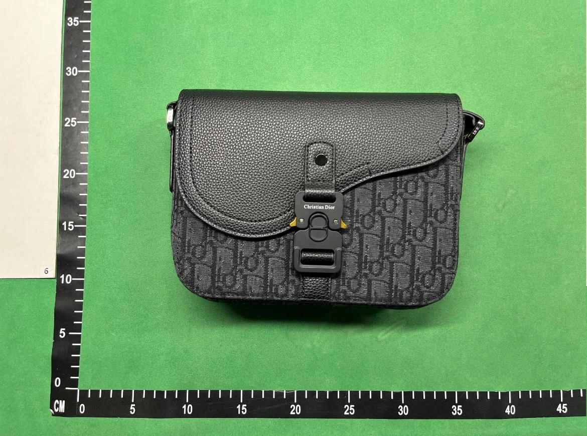 Dior camera bag QC photo