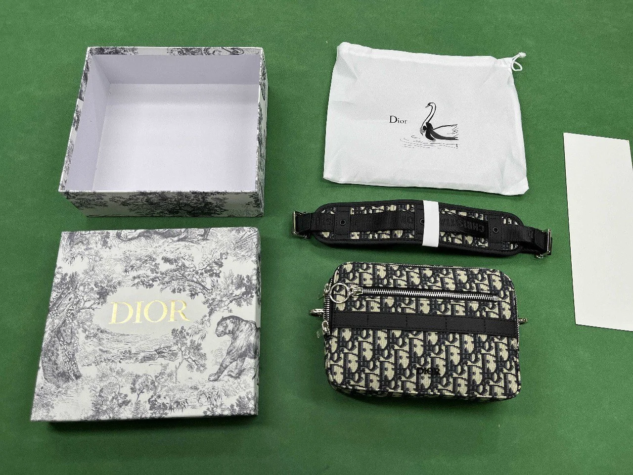Dior camera bag QC photo