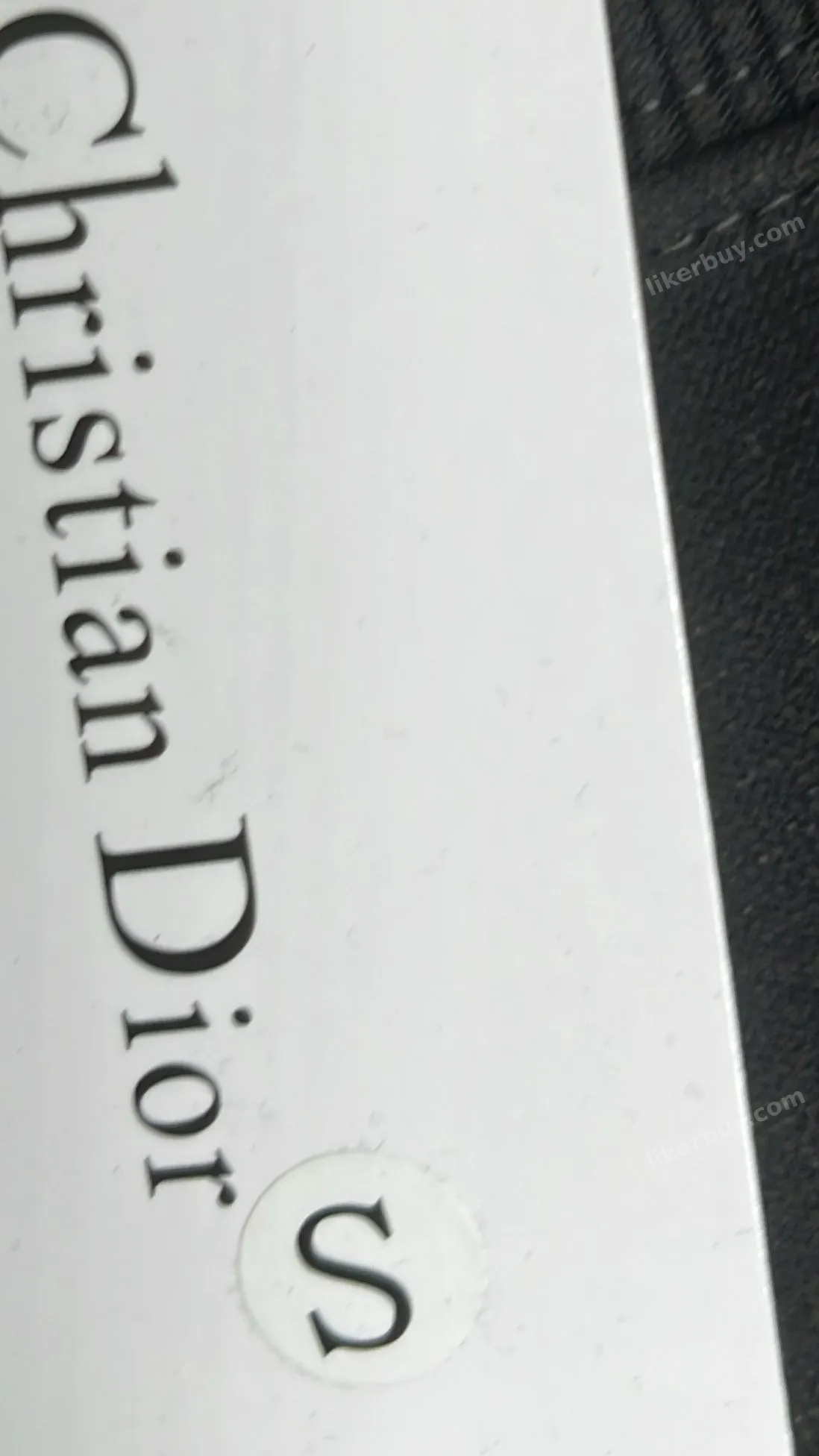 dior hoodie product reference 8