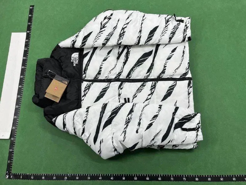 The North Face 22Fw Retro Nuptse Jacket 1996