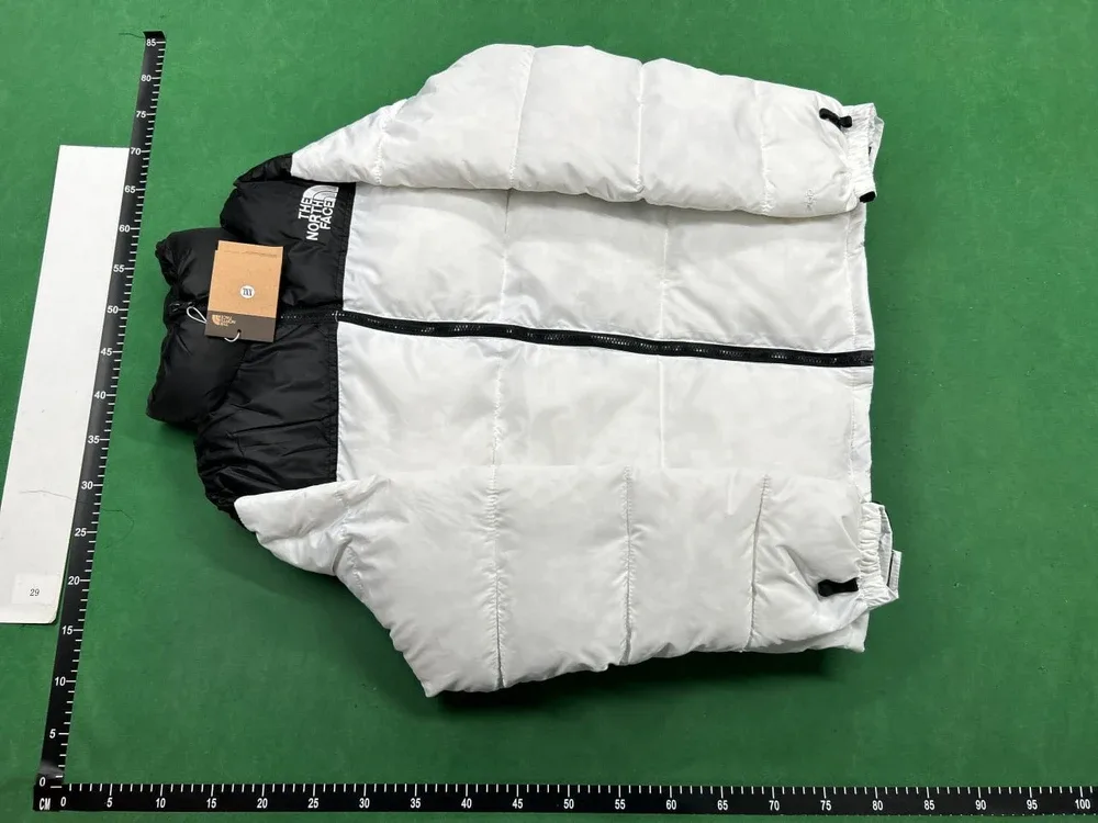 The North Face 22Fw Retro Nuptse Jacket 1996